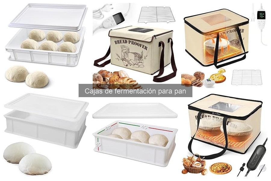 Alternativas a cajas de fermentación para pan: opciones efectivas