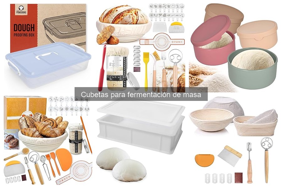 Alternativas a cubetas para fermentación de masa
