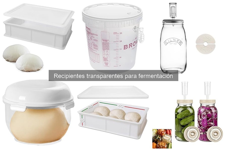 Alternativas a recipientes transparentes para fermentación
