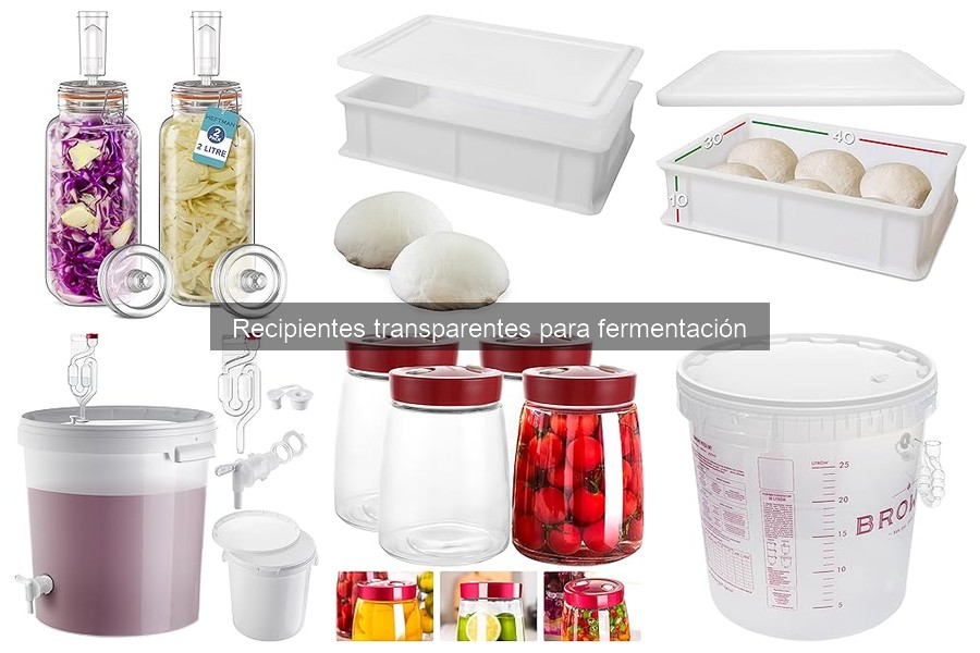 Cómo elegir el recipiente transparente para fermentación