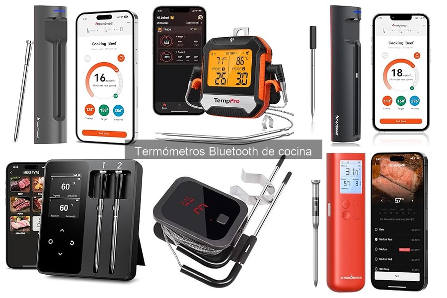 Cómo elegir el termómetro Bluetooth de cocina adecuado