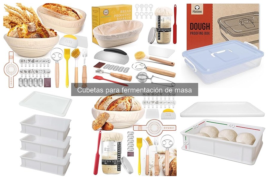 Comparativa: Cubetas de Fermentación de Plástico vs Silicona