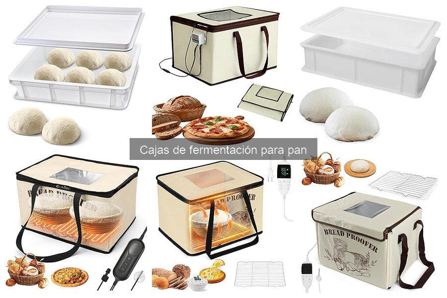Dónde comprar cajas de fermentación para pan al mejor precio