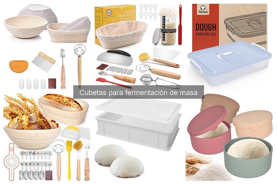 Dónde comprar cubetas para fermentación de masa a buen precio