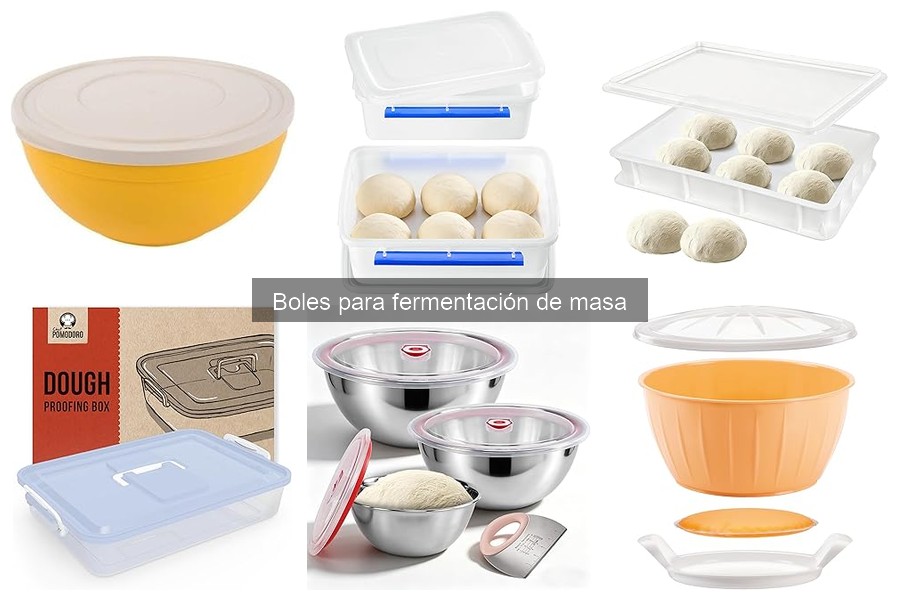 Guía de compra de boles para fermentación de masa