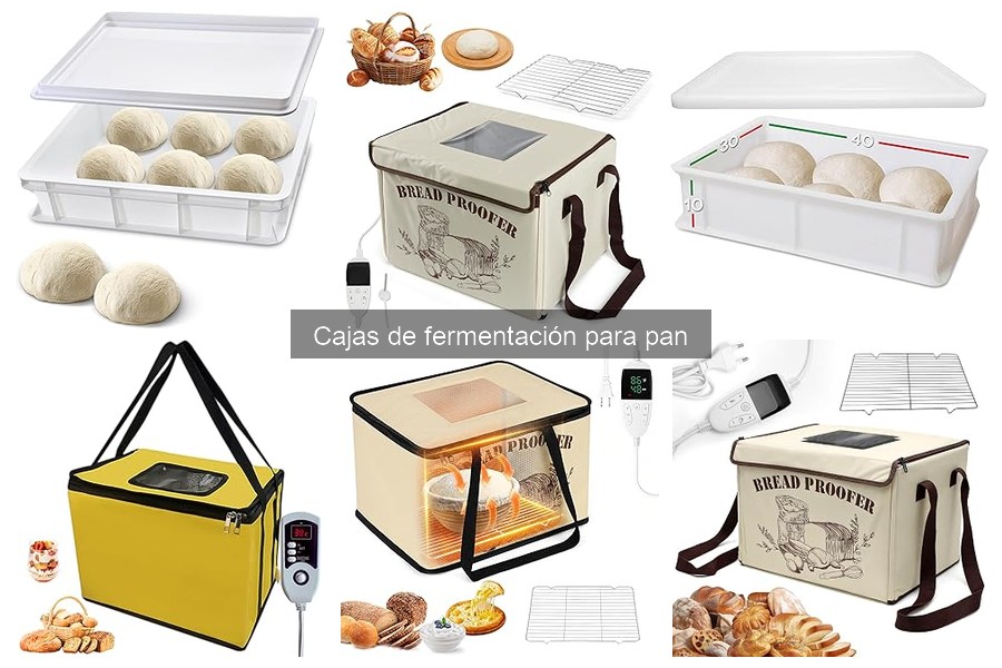 Guía de compra de cajas de fermentación para pan