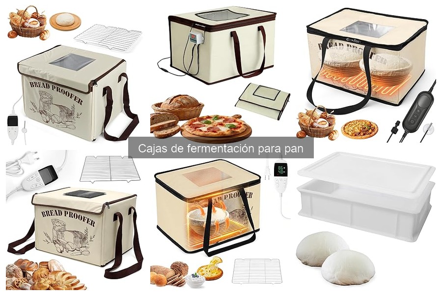 Mantenimiento de Cajas de Fermentación para Pan: Guía Práctica