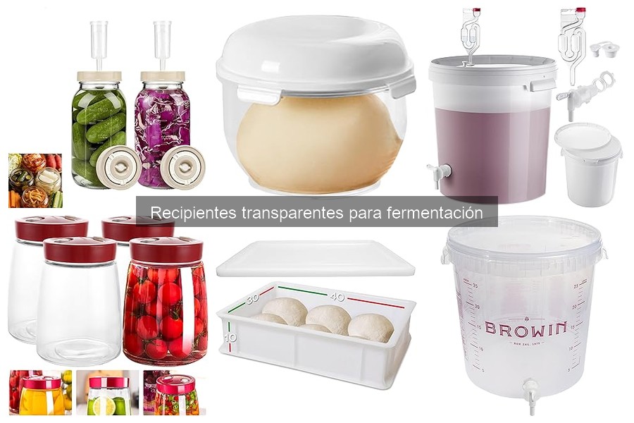 Mejores lugares para comprar recipientes transparentes de fermentación