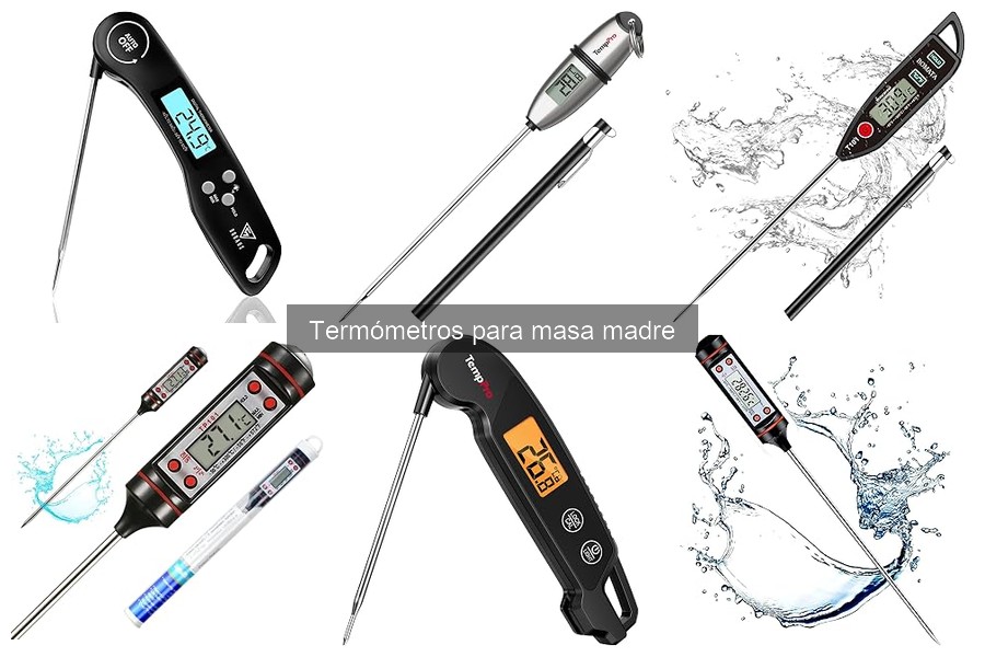 ** Mejores marcas de termómetros para masa madre en 2023