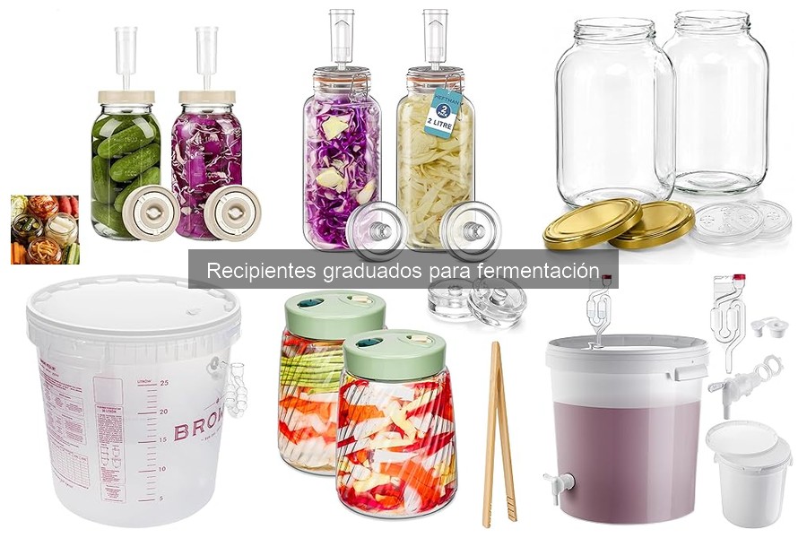 Mejores recipientes graduados para fermentación por precio