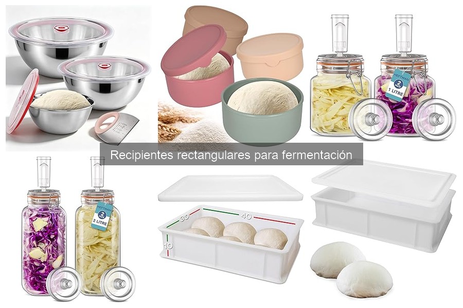 Mejores recipientes rectangulares para fermentación en 2023