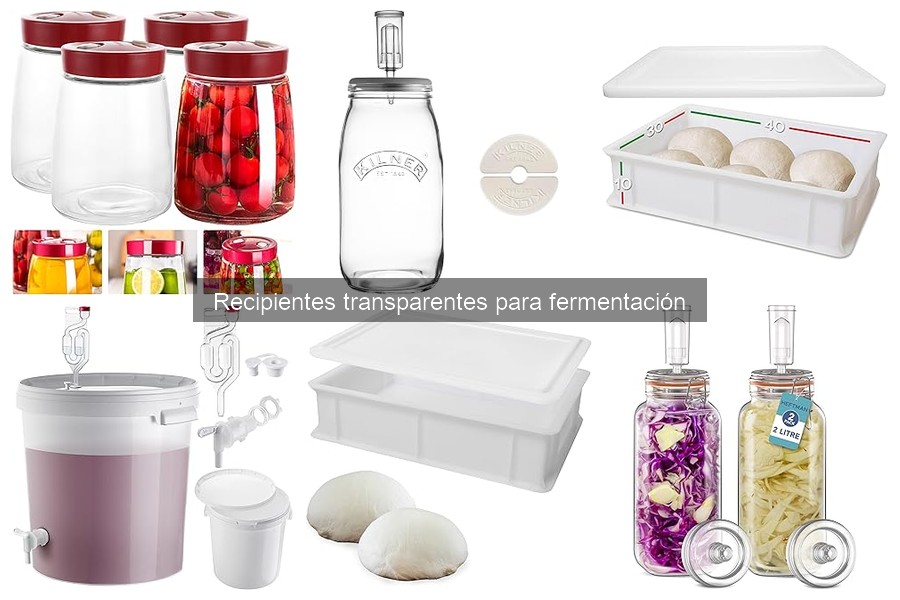Mejores recipientes transparentes para fermentación en 2023