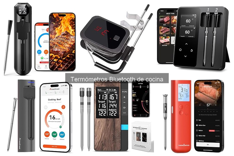 Opiniones sobre los Mejores Termómetros Bluetooth de Cocina
