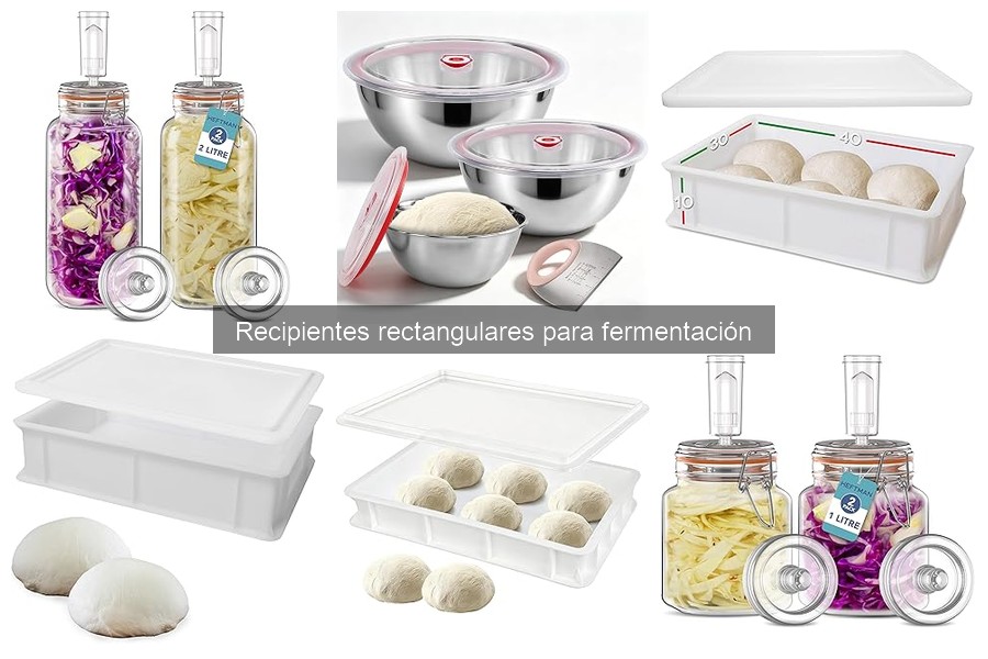 Opiniones sobre recipientes rectangulares para fermentación