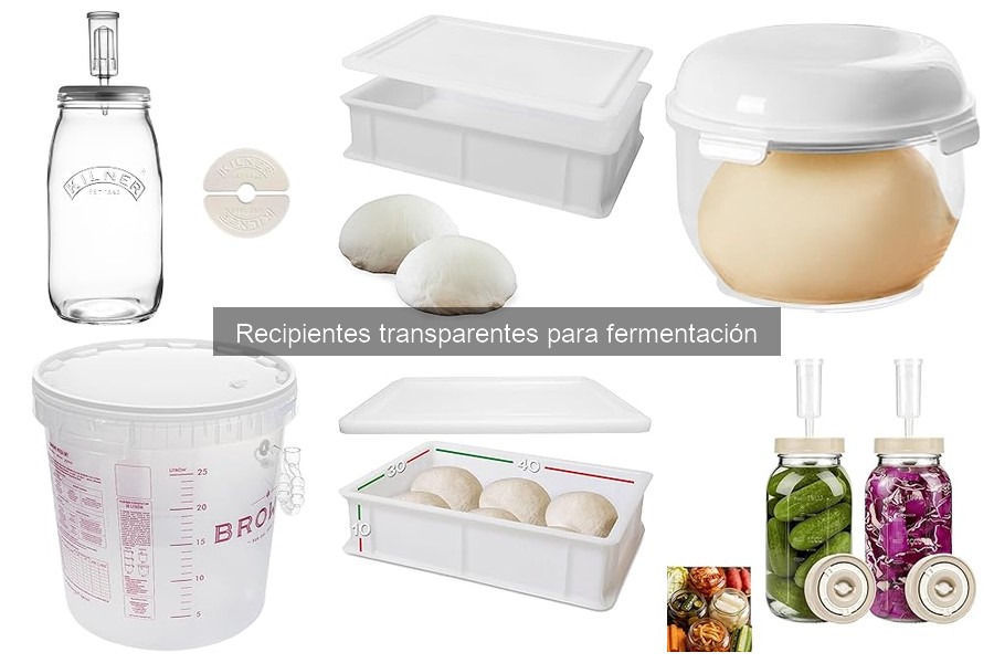 Recipientes Transparentes vs. Opacos para Fermentación