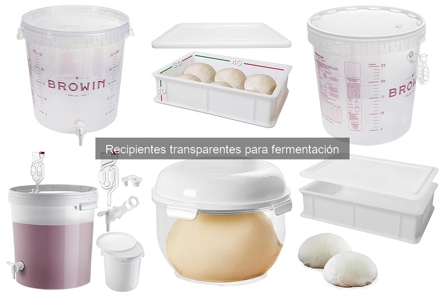 Tamaño ideal de recipiente transparente para fermentación