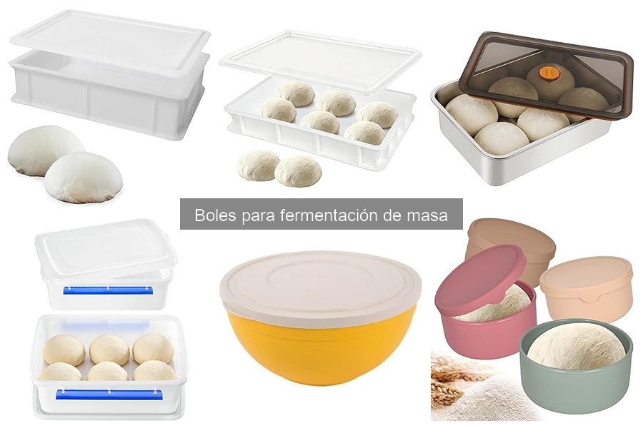 Tipos de boles para fermentación de masa: guía completa