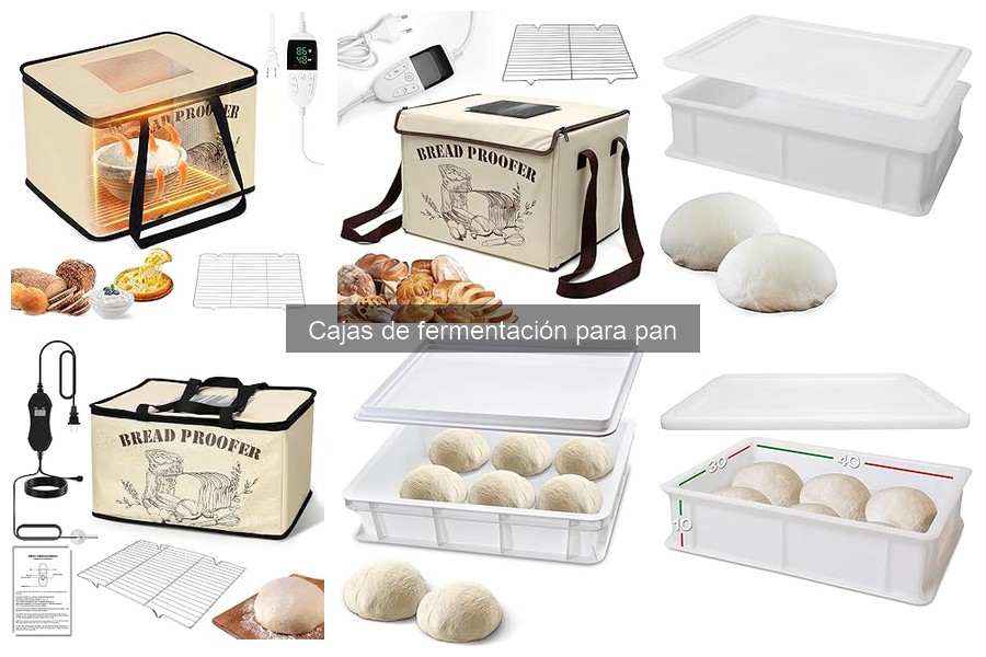 Tipos de cajas de fermentación para pan: guía completa