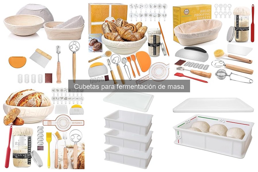 Tipos de cubetas para fermentación de masa: guía completa