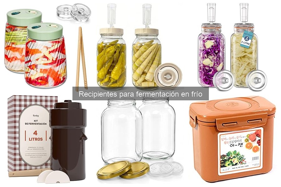 Tipos de recipientes para fermentación en frío: ¡elige el mejor!