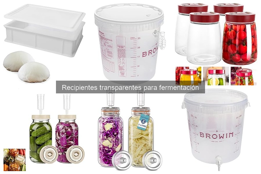 Ventajas de Recipientes Transparentes para Fermentación
