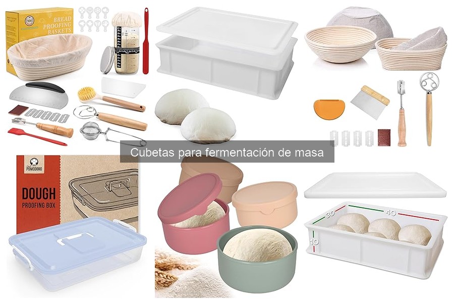 Ventajas y desventajas de cubetas para fermentación de masa