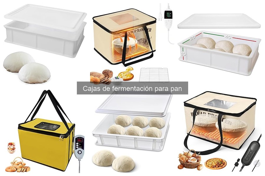 Ventajas y desventajas de las cajas de fermentación para pan