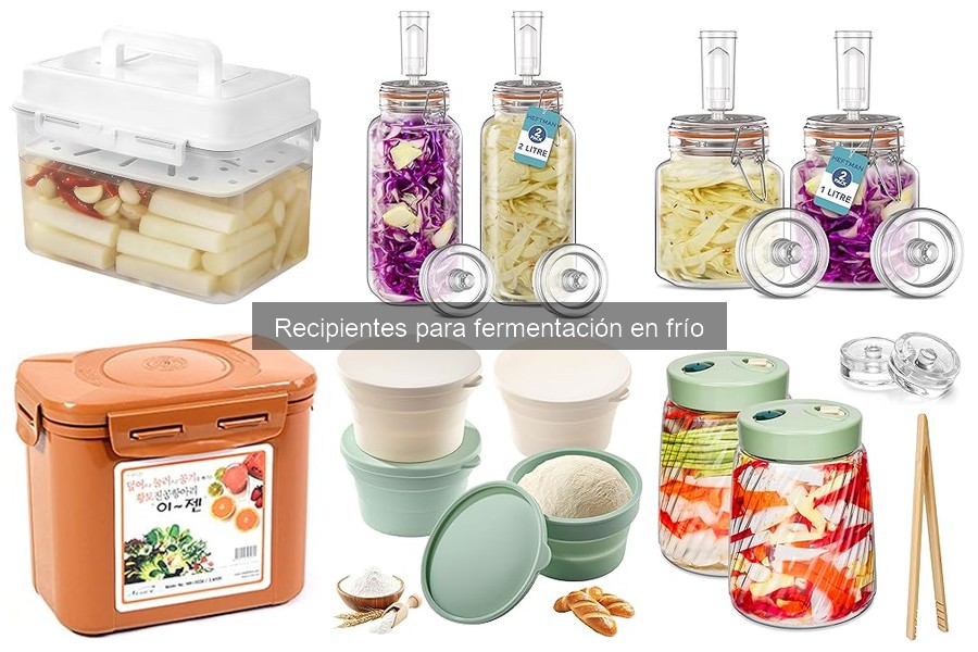 Ventajas y Desventajas de los Recipientes para Fermentación en Frío