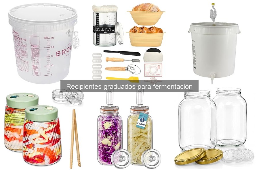 Ventajas y desventajas de recipientes graduados para fermentación